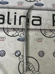 Молдинг решетки радиатора Volkswagen passat